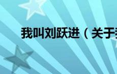 我叫刘跃进（关于我叫刘跃进的介绍）