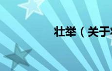 壮举（关于壮举的介绍）