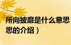 所向披靡是什么意思（关于所向披靡是什么意思的介绍）