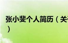 张小斐个人简历（关于张小斐个人简历的介绍）