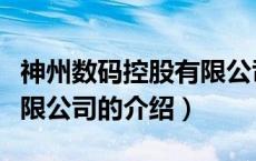 神州数码控股有限公司（关于神州数码控股有限公司的介绍）