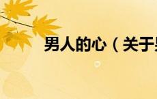 男人的心（关于男人的心的介绍）