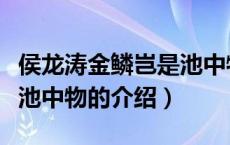 侯龙涛金鳞岂是池中物（关于侯龙涛金鳞岂是池中物的介绍）