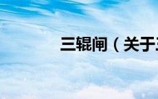 三辊闸（关于三辊闸的介绍）