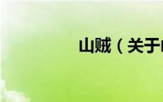 山贼（关于山贼的介绍）