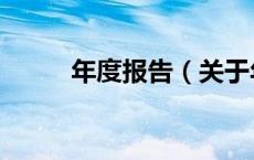 年度报告（关于年度报告的介绍）