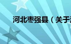 河北枣强县（关于河北枣强县的介绍）