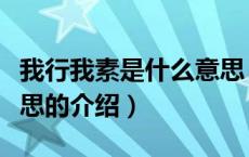 我行我素是什么意思（关于我行我素是什么意思的介绍）