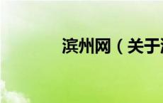 滨州网（关于滨州网的介绍）