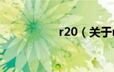r20（关于r20的介绍）
