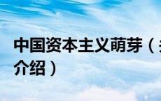 中国资本主义萌芽（关于中国资本主义萌芽的介绍）