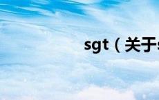 sgt（关于sgt的介绍）