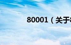 80001（关于80001的介绍）