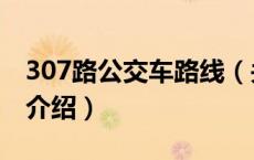307路公交车路线（关于307路公交车路线的介绍）