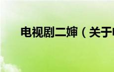 电视剧二婶（关于电视剧二婶的介绍）