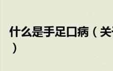 什么是手足口病（关于什么是手足口病的介绍）
