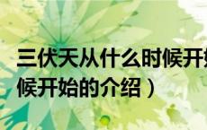 三伏天从什么时候开始（关于三伏天从什么时候开始的介绍）