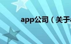 app公司（关于app公司的介绍）