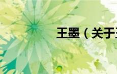 王墨（关于王墨的介绍）