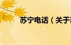 苏宁电话（关于苏宁电话的介绍）