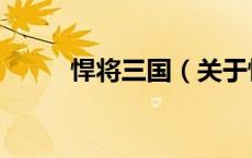 悍将三国（关于悍将三国的介绍）