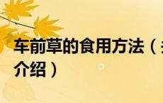 车前草的食用方法（关于车前草的食用方法的介绍）