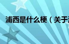 浦西是什么梗（关于浦西是什么梗的介绍）