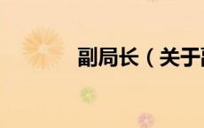 副局长（关于副局长的介绍）