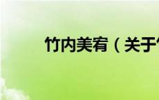 竹内美宥（关于竹内美宥的介绍）
