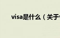 visa是什么（关于visa是什么的介绍）