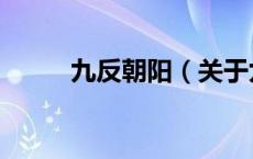九反朝阳（关于九反朝阳的介绍）
