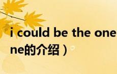 i could be the one（关于i could be the one的介绍）