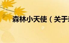 森林小天使（关于森林小天使的介绍）