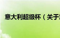 意大利超级杯（关于意大利超级杯的介绍）