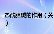 乙酰胆碱的作用（关于乙酰胆碱的作用的介绍）