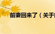 前妻回来了（关于前妻回来了的介绍）