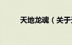 天地龙魂（关于天地龙魂的介绍）