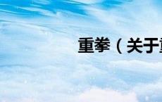 重拳（关于重拳的介绍）