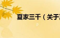 夏家三千（关于夏家三千的介绍）