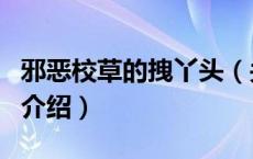 邪恶校草的拽丫头（关于邪恶校草的拽丫头的介绍）