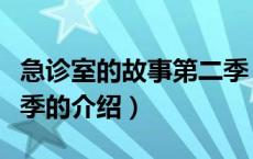 急诊室的故事第二季（关于急诊室的故事第二季的介绍）