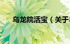 乌龙院活宝（关于乌龙院活宝的介绍）