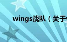 wings战队（关于wings战队的介绍）