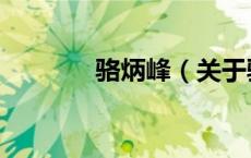 骆炳峰（关于骆炳峰的介绍）