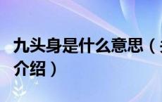 九头身是什么意思（关于九头身是什么意思的介绍）
