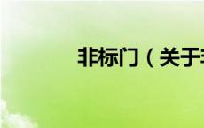 非标门（关于非标门的介绍）