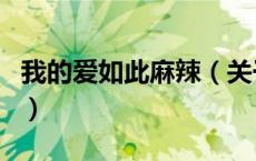 我的爱如此麻辣（关于我的爱如此麻辣的介绍）
