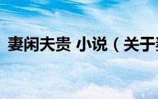 妻闲夫贵 小说（关于妻闲夫贵 小说的介绍）