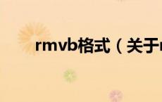 rmvb格式（关于rmvb格式的介绍）