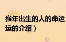 猴年出生的人的命运（关于猴年出生的人的命运的介绍）